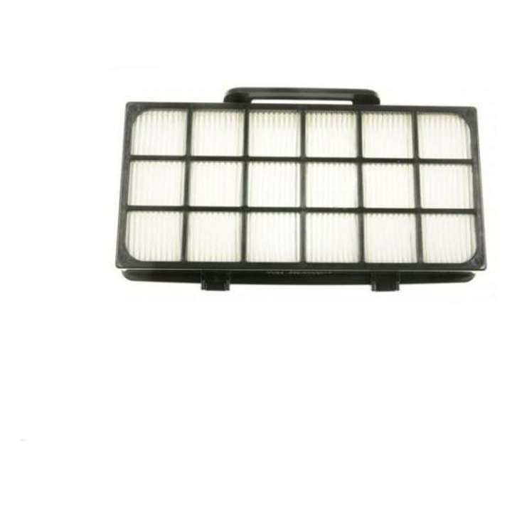 Filtru HEPA GROUPE SEB pentru Aspiratorul fara Sac Rowenta RO6963EA410