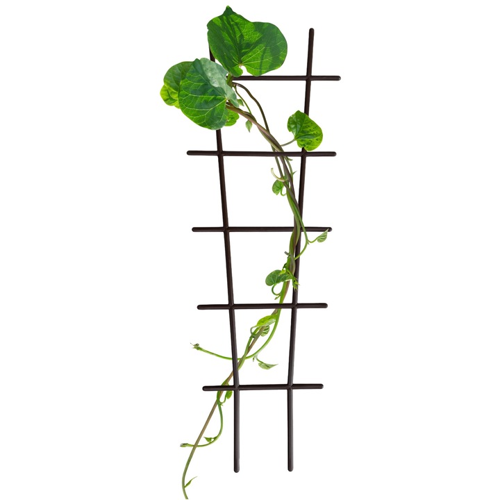 Suport pentru plante, 60x20cm, culoare brown, 1 bucata