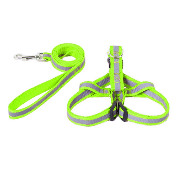 Set ham reflectorizant si lesa plata 1.2m, verde, L (10-20kg)