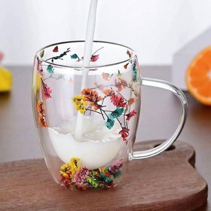 Cana cu flori uscate, perete dublu, sticla borosilicata, izolare termica, 200 ml, transparent, Multicolor