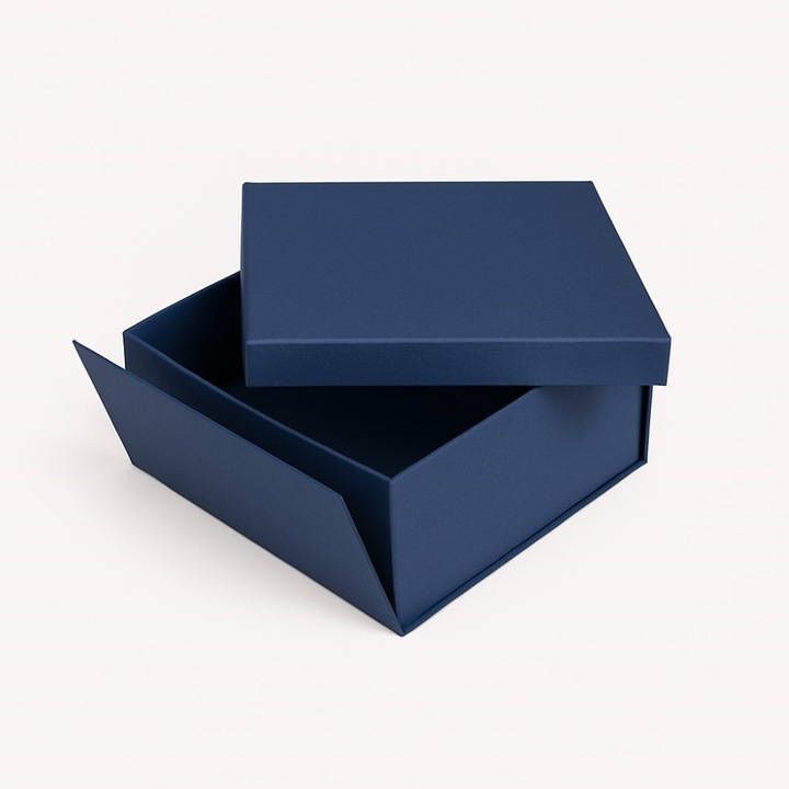 Cutie Pliabila Cu Capac, Neopak, Calitate Inalta, Durabila Si Rezistenta La Daune, Depozitare Si Transport Sigur, Potrivita Pentru Reciclare, 250x250x120 mm, Albastra