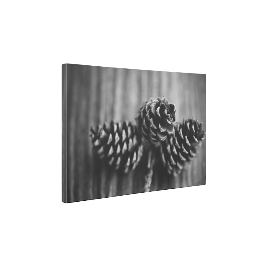 Conuri - Tablou Canvas - 60x75 cm