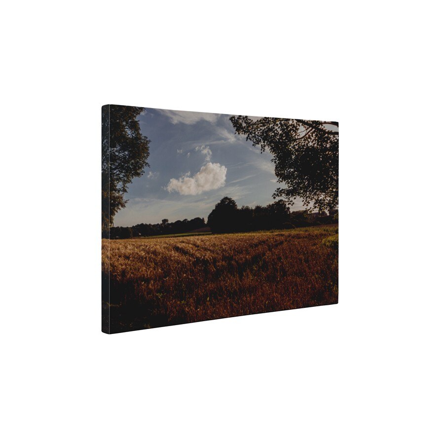 Pe camp - Tablou Canvas - 50x65 cm
