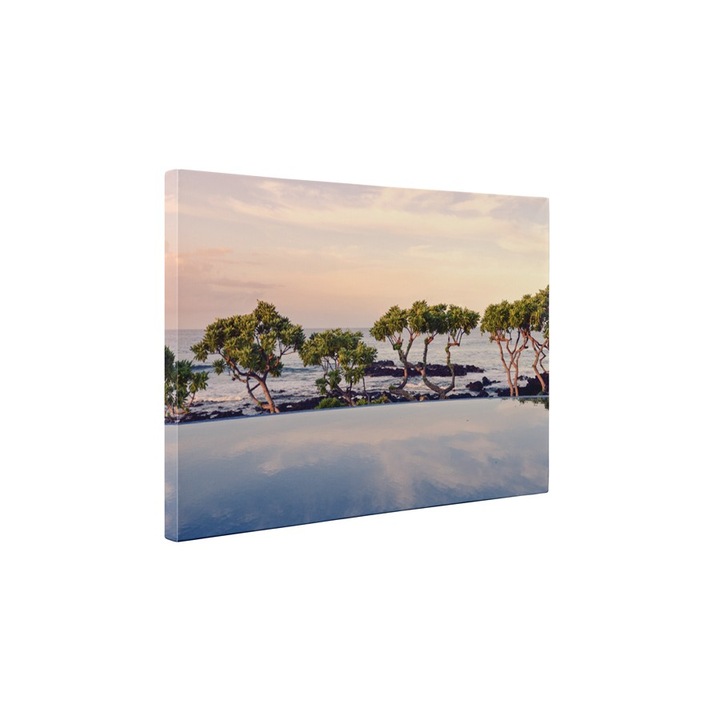 Copaci pe malul marii - Tablou Canvas - 50x65 cm