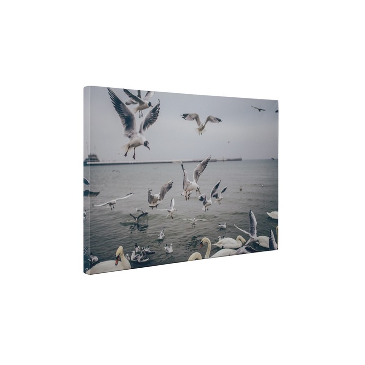 Pescarusi - Tablou Canvas - 45x60 cm