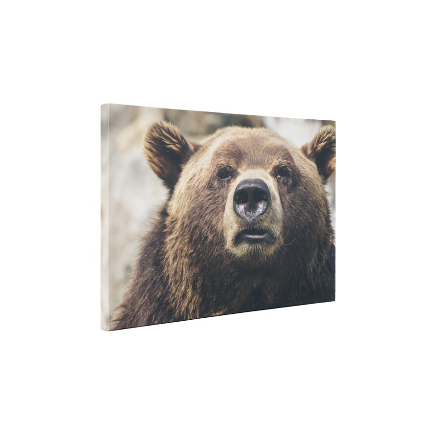 Ursul - Tablou Canvas - 60x75 cm