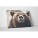 Ursul - Tablou Canvas - 25x35 cm