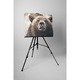 Ursul - Tablou Canvas - 25x35 cm