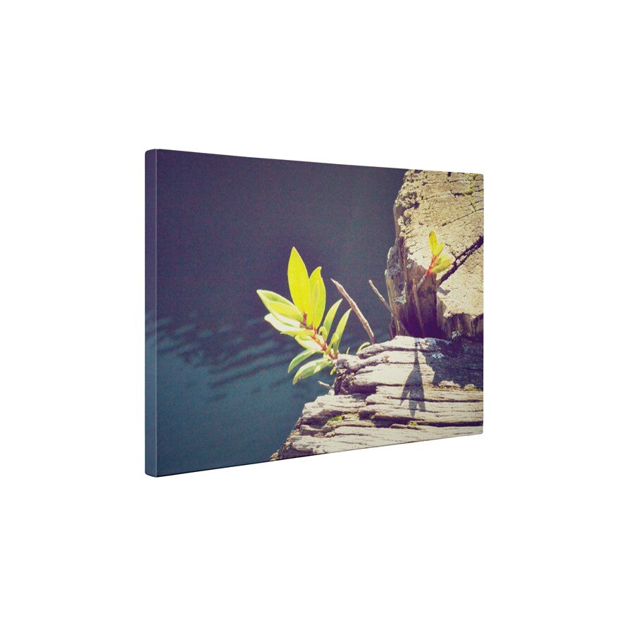 Viata inflorita - Tablou Canvas - 65x85 cm