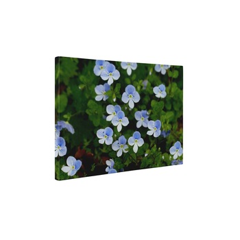 Flori marunte - Tablou Canvas - 85x110 cm Flori marunte - Tablou Canvas - 85x110 cm