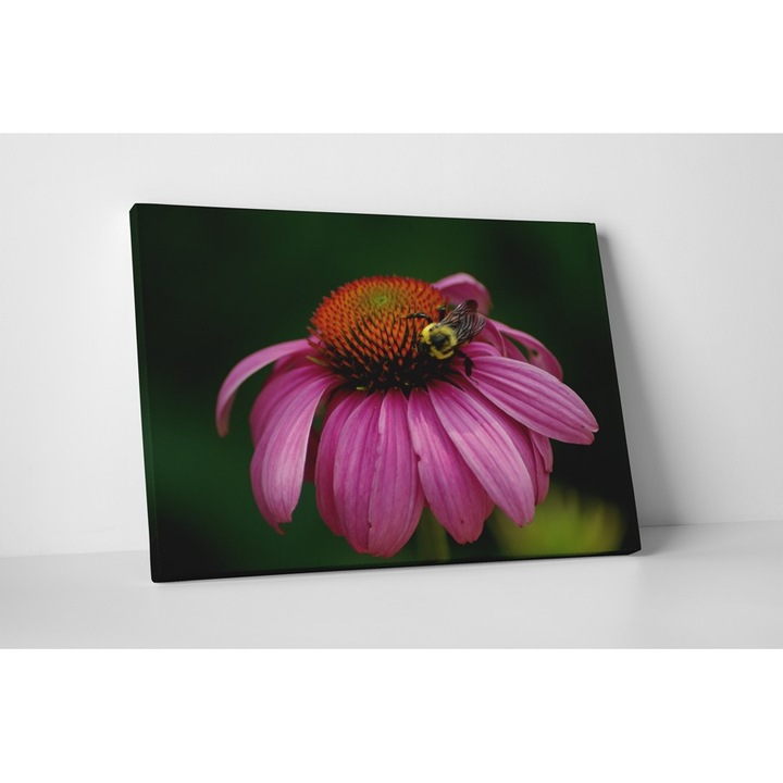 Пчела върху цвете - Картина на платно - 60х75 см