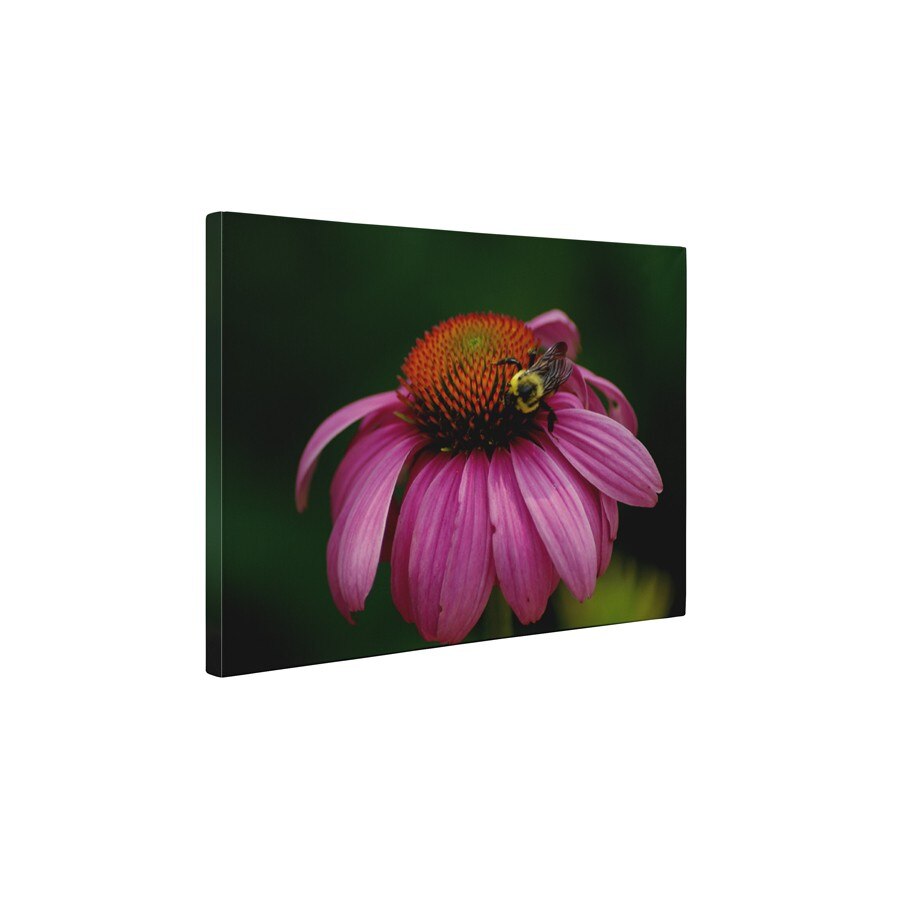 Albinuta pe floare - Tablou Canvas - 60x75 cm