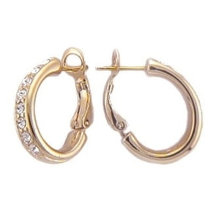 Cercei Colibra cu cristale