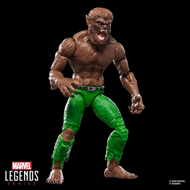 Figurina Marvel Legends: Werewolf by Night, 15cm, multicolor, pentru copii peste 3 ani