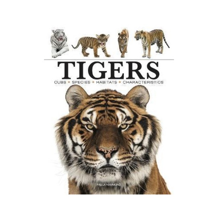 Tigers - Paula Hammond