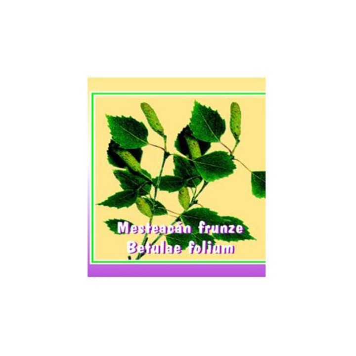 Ceai Mesteacan 50g, Detoxifiant, Natural