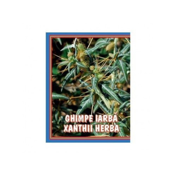 Ceai de Ghimpe Premium 50g, Cyani, planta, natural