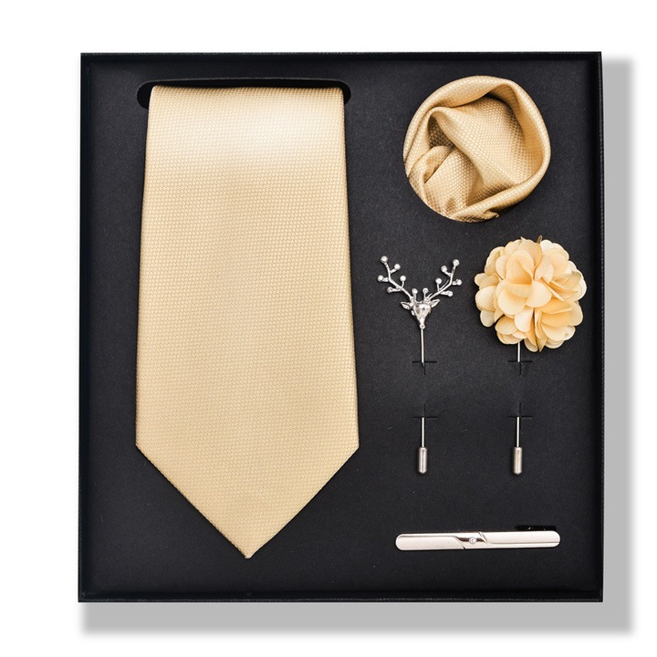 Set cravate 5 piese, 147x8cm, multicolor