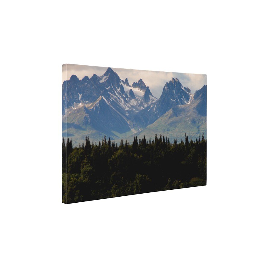 Munti inalti - Tablou Canvas - 60x80 cm
