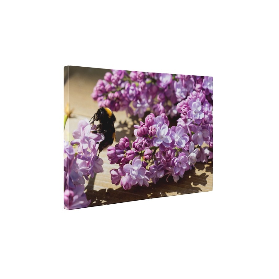 Liliac mov - Tablou Canvas - 60x75 cm