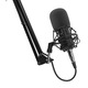 Microfon Genesis Radium 300 STUDIO XLR, tip electret condenser, model cardioid, suport fix, conectivitate Mini Jack 3.5 mm, XLR, , raspuns infrecventa 630 - 16000 Hz, sensibilitate -38 dB, lungime cablu 250 cm, negru cm,negru