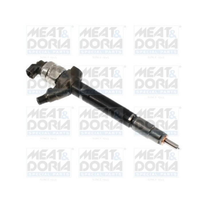Befecskendező 74011R Citroën Jumper 2 Fiat Ducato Ford Transit/Transit Tourneo Peugeot Boxer