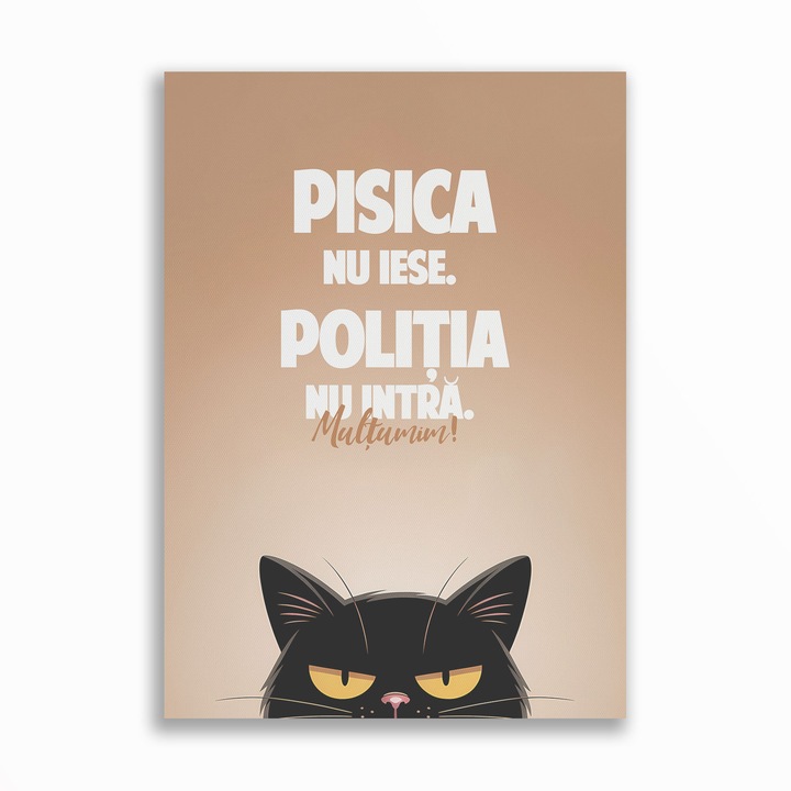 Декоративно платно, комично послание с котки, Котката не излиза, A3 (29.7 x 42 см), Без рамка