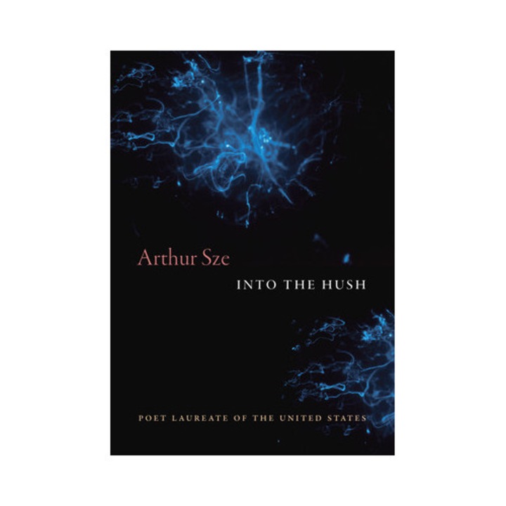 Into The Hush - Arthur Sze