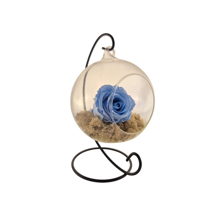 Glob din sticla suspendat cu trandafir criogenat Albastru Deschis si licheni Alb Natural, 20x12cm, FloraVelle