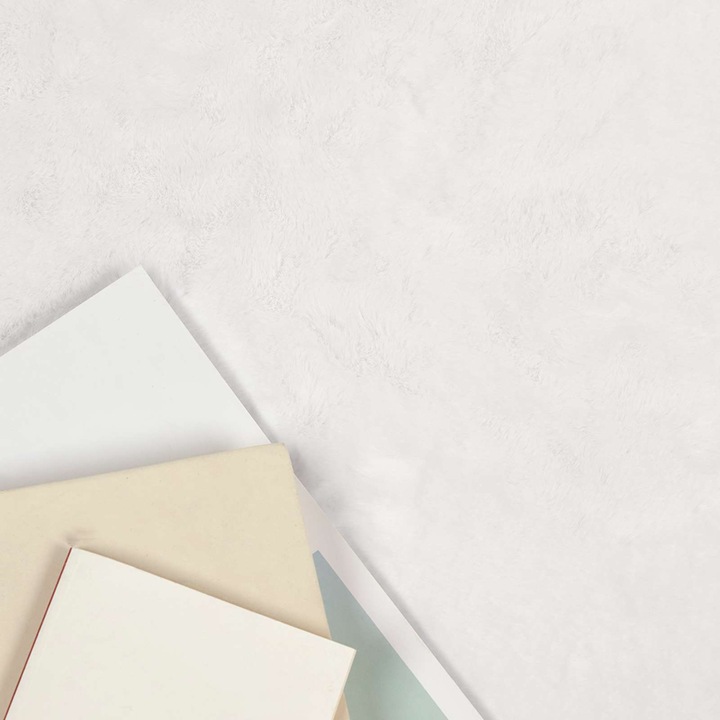 Covor din Blana Faux de Iepure Olite vidaXL, Alb 80 x 150 cm Poliester