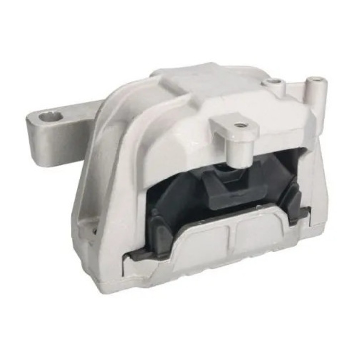 Suport Motor Dreapta Rh11-0033 Audi A3/Tt Seat Altea/Leon/Toledo 3 Skoda Octavia 2/Superb 2/Yeti Vw Caddy 3/Eos/Golf 5
