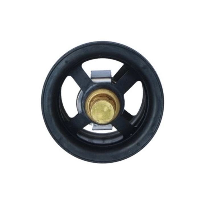 Termostat, Lichid Racire 725029 Alpina B3/B5 Audi A6 C7 Barkas B 1000 Bmw 3/5/7 Buick Park Avenue Byd Flyer Daf 75/75 Cf