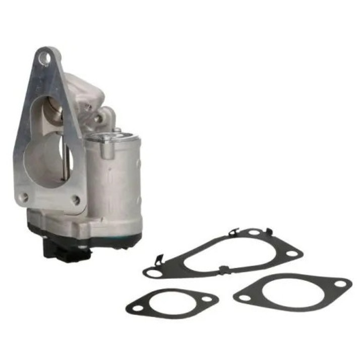 Supapa Egr Ent500061 Renault Laguna 2/Megane 2/Scénic 2 Suzuki Grand Vitara 2