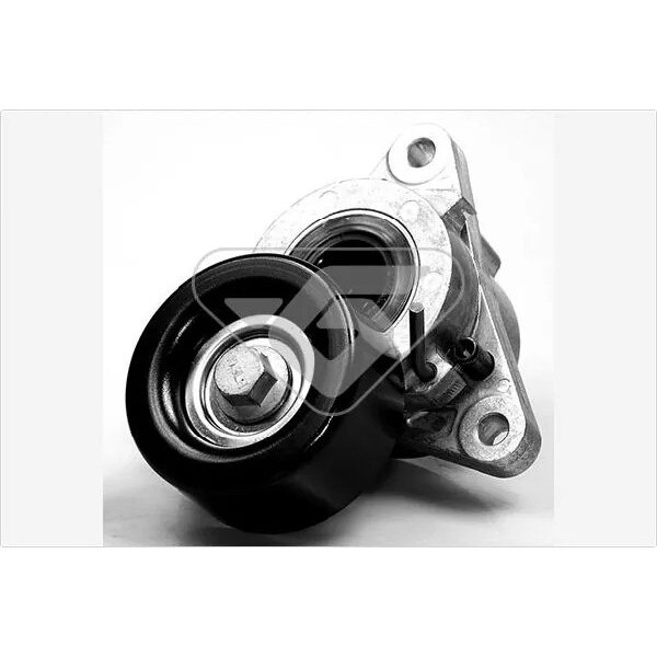 Rola Intinzator, Curea Transmisie T0058 Infiniti Fx/M Nissan
