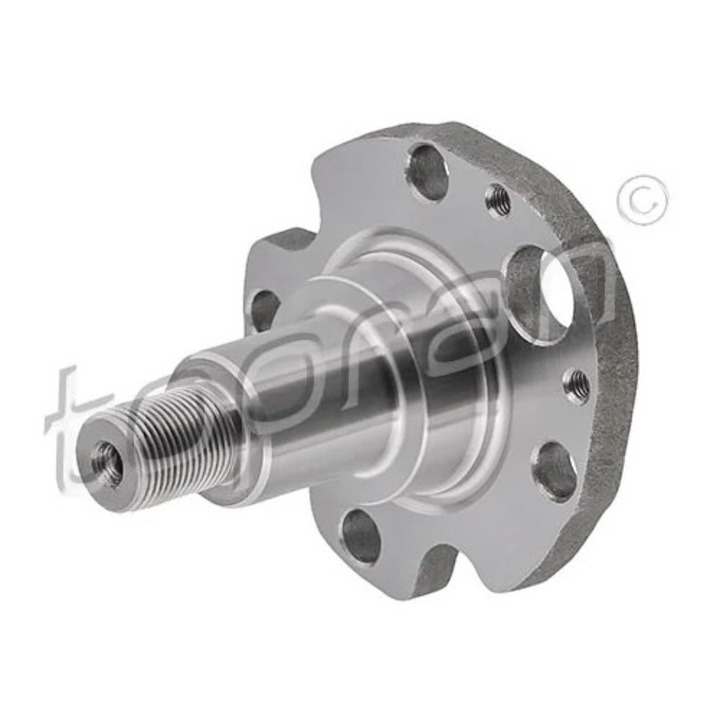 Butuc Roata, Corp Axa Axa Spate Ambele Parti 109871 Audi A3/Tt Seat Inca/Leon/Toledo 2 Skoda Octavia 1/Roomster Vw Bora