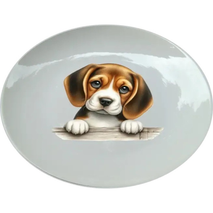 Beagle tányér, (Átmérő 25, 7 cm, Magasság 2, 7 cm, Súly 615 gramm)