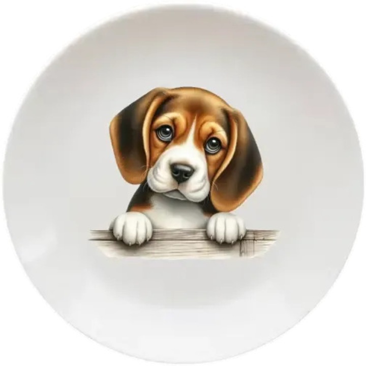 Beagle tányér, (Átmérő 20, 7 cm, Magasság 2 cm, Súly 340 gramm)