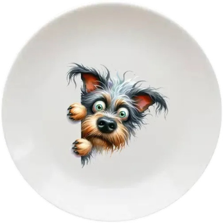 Figyellek tányér, (Átmérő 20, 7 cm, Magasság 2 cm, Súly 340 gramm)