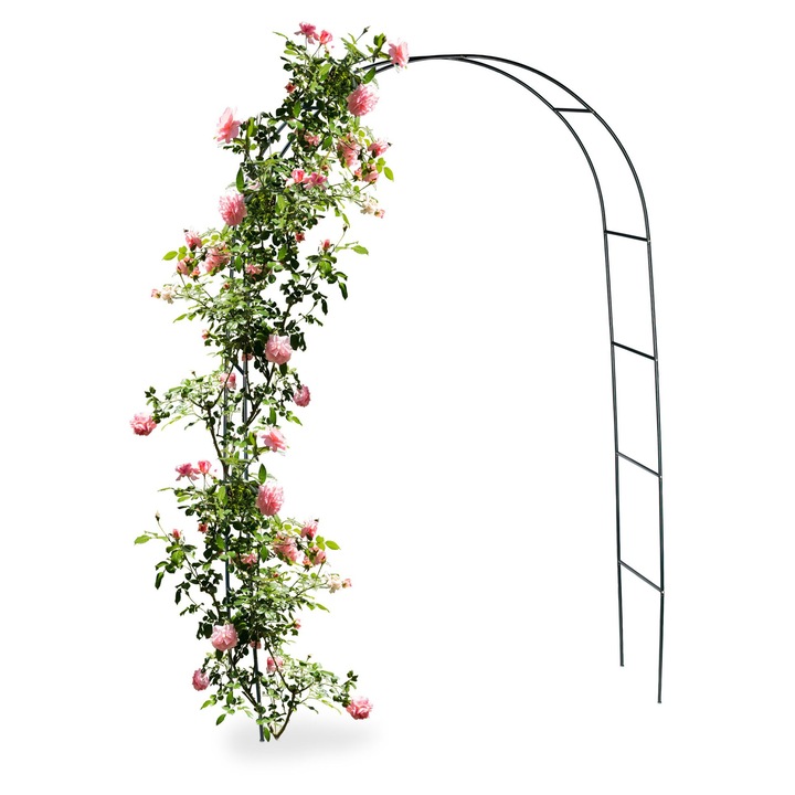 Arcadă metalică pentru plante cățătoare, Ayawaska, 240x140x38cm, verde închis, suport robust pentru trandafiri și iarbă