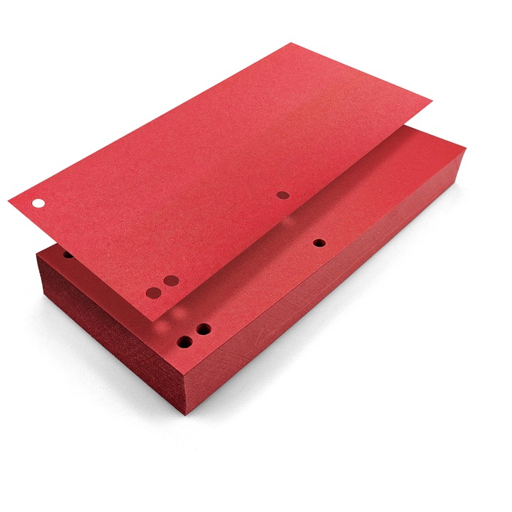 Set De Separatoare Pentru Dosar, Netuno, Material Carton 190 g/M², Perfect Pentru Birou, Ajuta la Organizare, Mentinand Ordinea, Rosu, Perforat De 4 Ori, 24 x 10.5 cm, 100 Buc