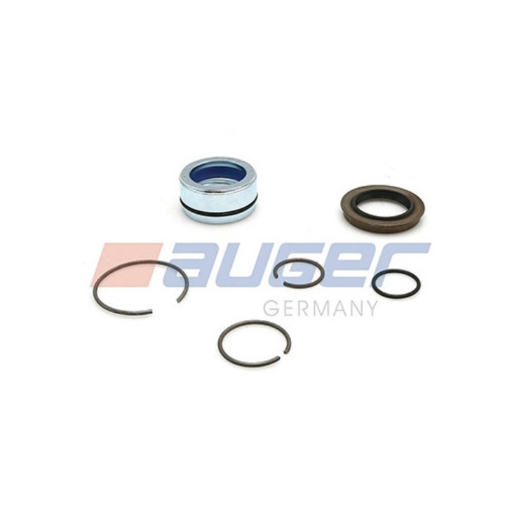 Javítókészlet, billenőpumpa 55501 Renault Trucks Premium Scania 4-es széria/G 1/P 1/R 1/T