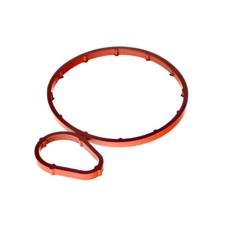 Set Garnituri Pompa Vacuum 70-0443 Citroën C2/C2 Enterprise/C3 1/C3 2/C3 Pluriel/Xsara Ford Fiesta/Fiesta 5/Fiesta 6