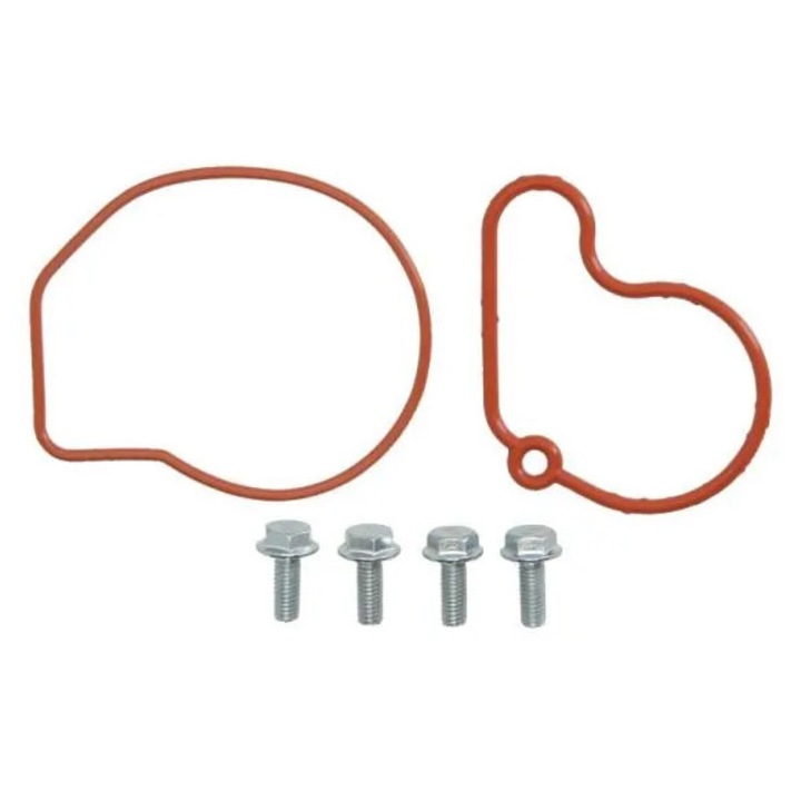 Javítókészlet, Vákuumszivattyú (fékrendszer) Ent410006 Audi A3 Seat Cordoba/Cordoba Vario/Ibiza 2/Ibiza 3/Inca/Leon Vw Bora