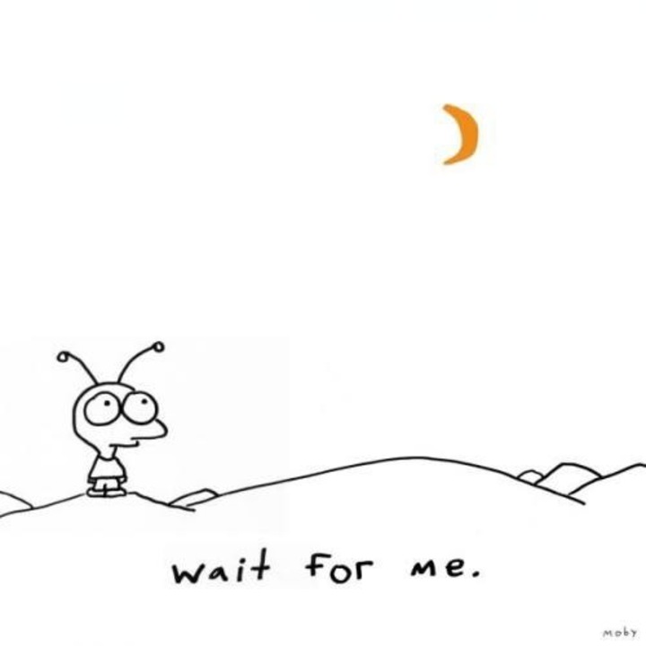Moby-Wait For Me-CD