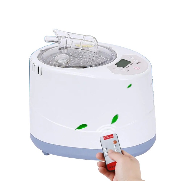 Generator de aburi, 1000W, otel inoxidabil 304, incalzire rapida 10-15 minute, utilizare acasa