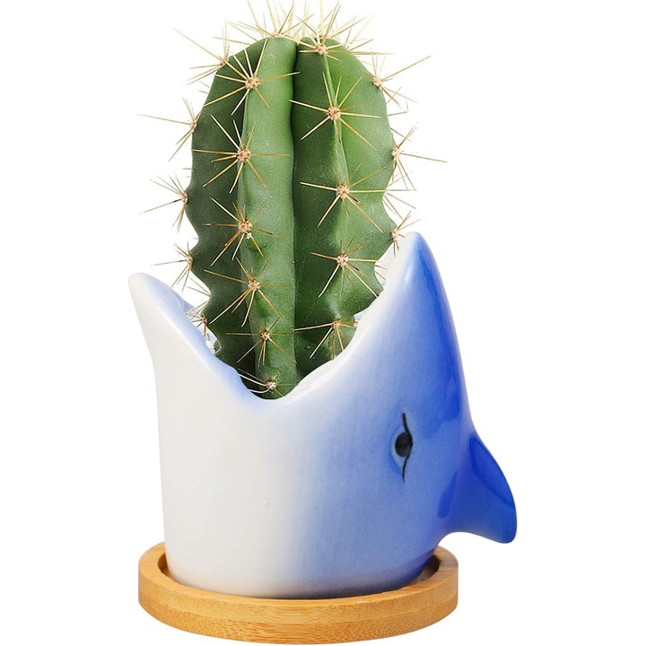 Ghiveci ceramic pentru plante, design rechin, decorativ, pentru suculente, 15x20cm