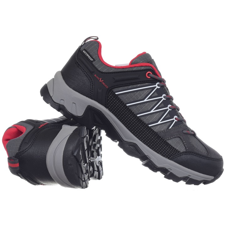 BCR151008 Skitasche für 3 Paar Skier & Stöcke - Black Crevice