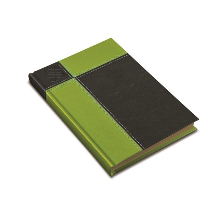 Realsystem 2026 PrémiumM 9412-98 B6 agendă de buzunar verde
