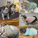 Haine Caini Si Pisici Talie Mica Marimea S Pulover Vesta Fleece Khaki Toamna Iarna Jacheta Calduroasa Puppy Kitten Pisoi Sphynx