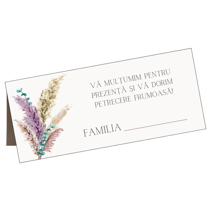 Set 10 plicuri de bani nunta, model 116, Carton, 210 x 100 mm